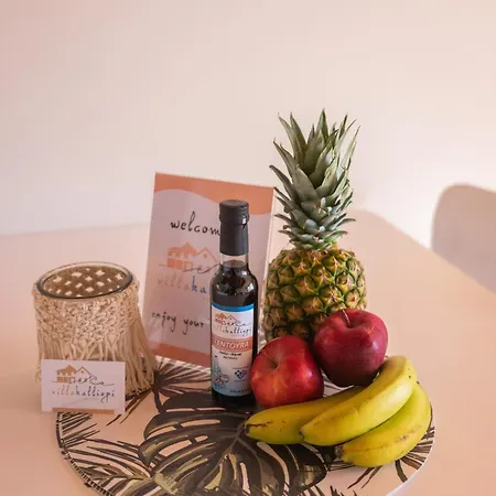 Appartement Kalliopi